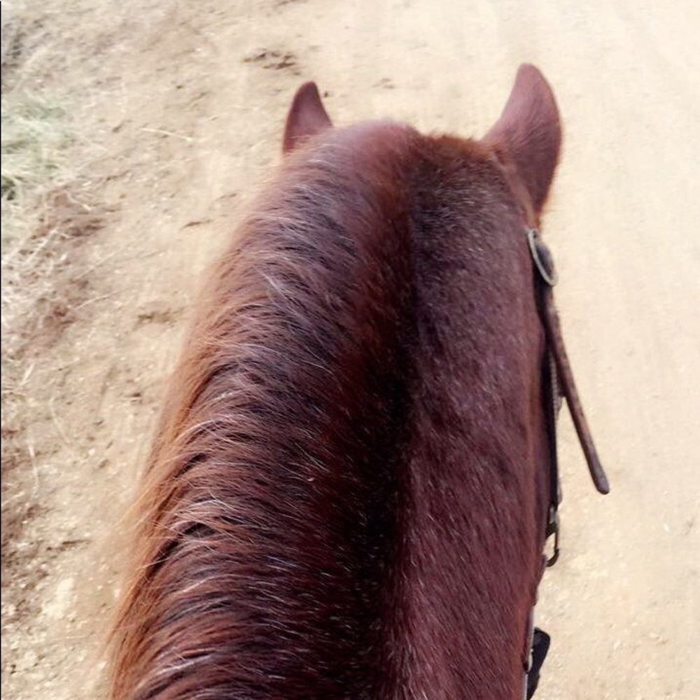 Meet your Posher, Sierra